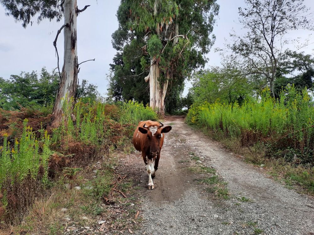 Photograph by Елена Симонова