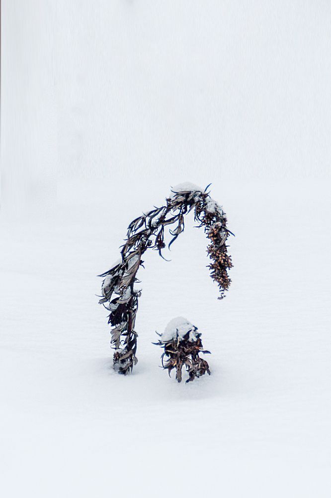 Photograph by Денис Кичев