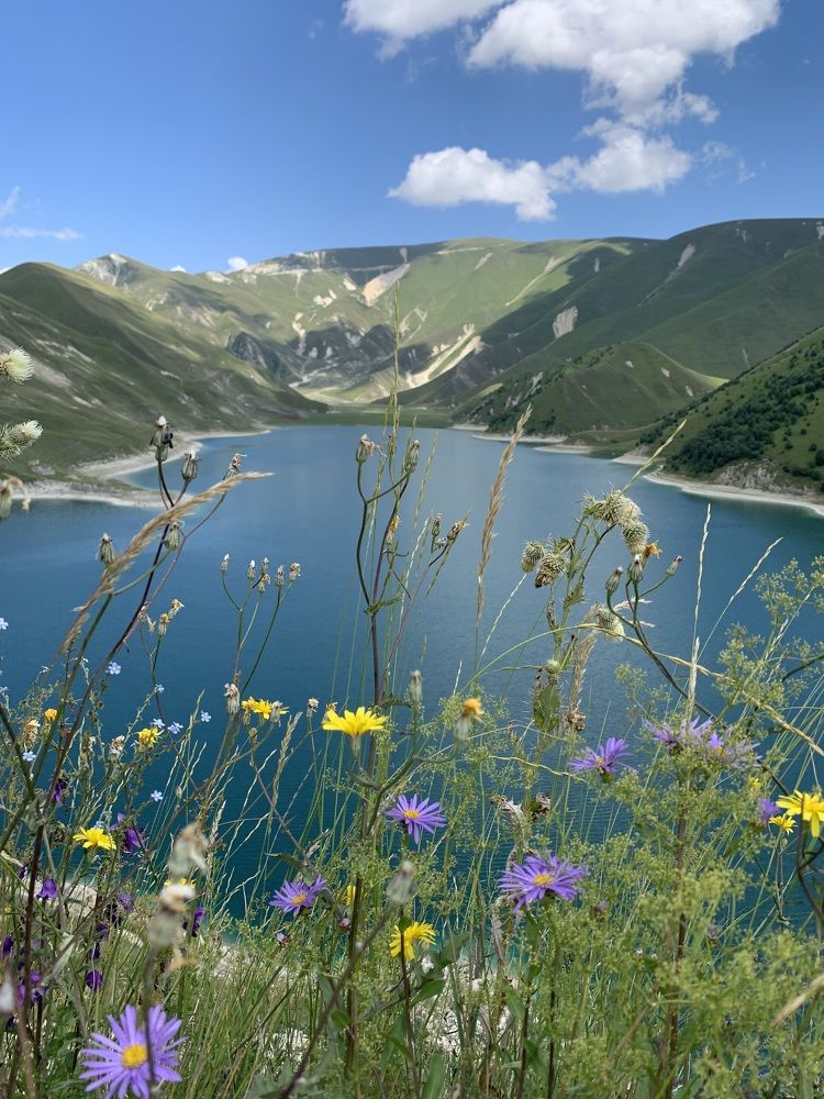 Photograph by Джамиля Ремизова