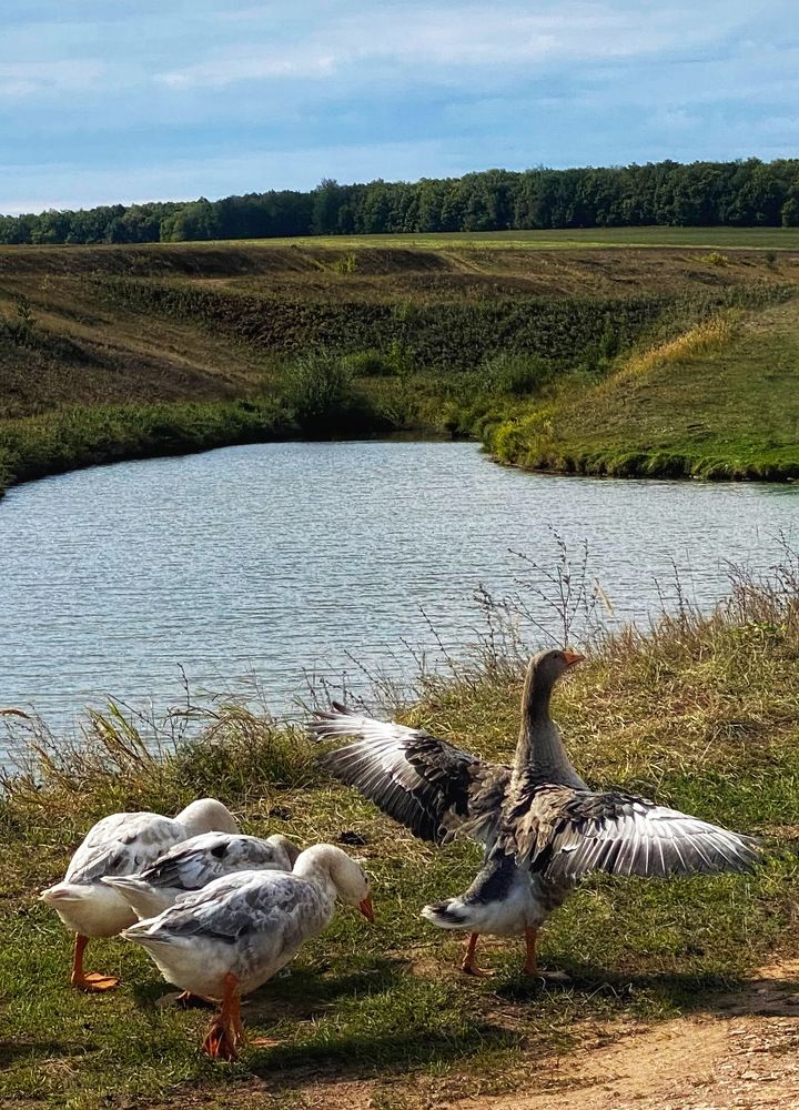Фотография автора ГУЗАЛИЯ ГАНИЕВА