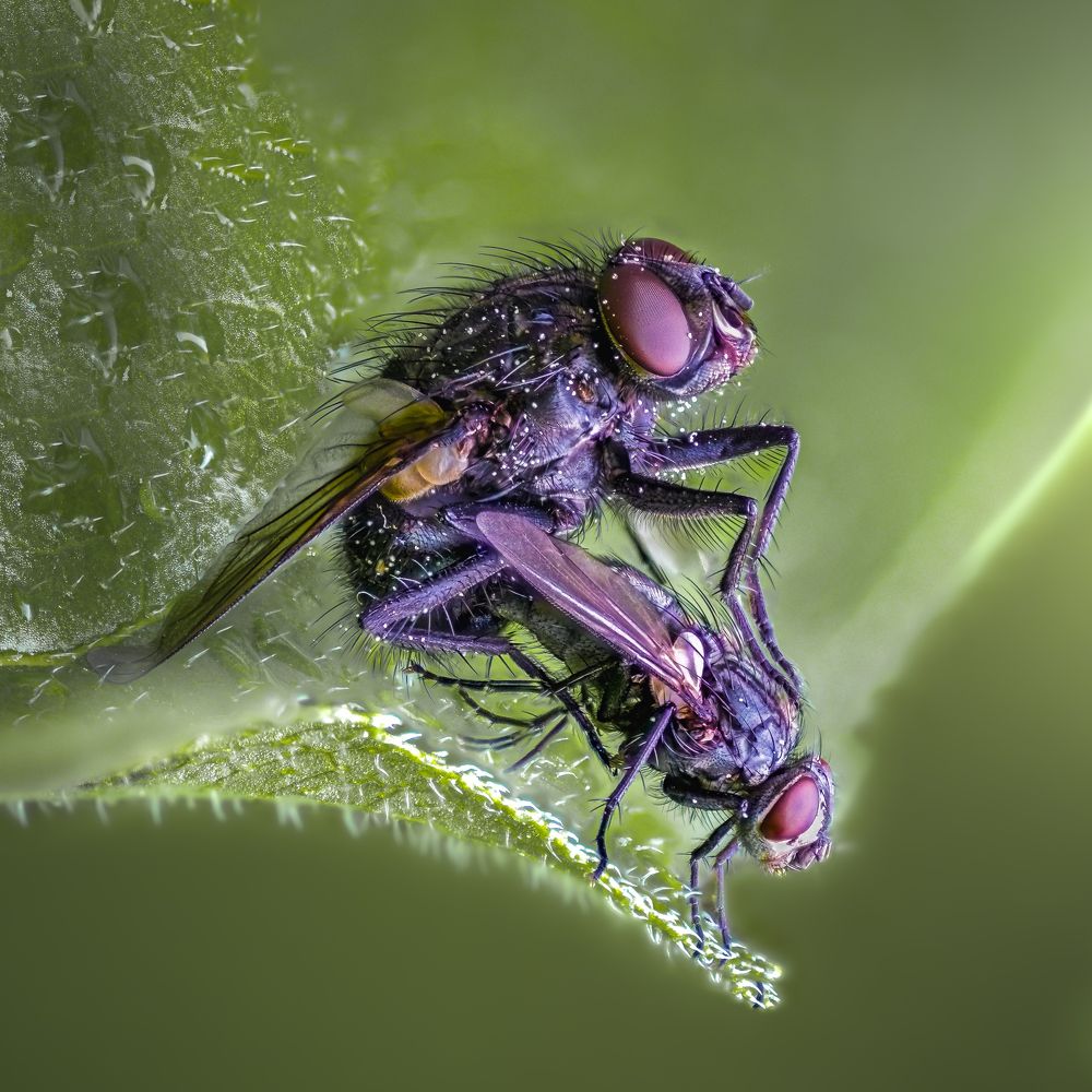 Photograph by Atul Saluja