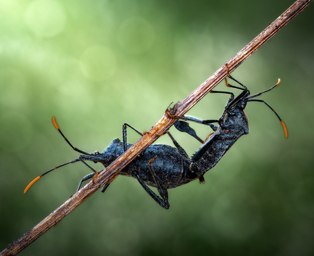 Photograph by Atul Saluja