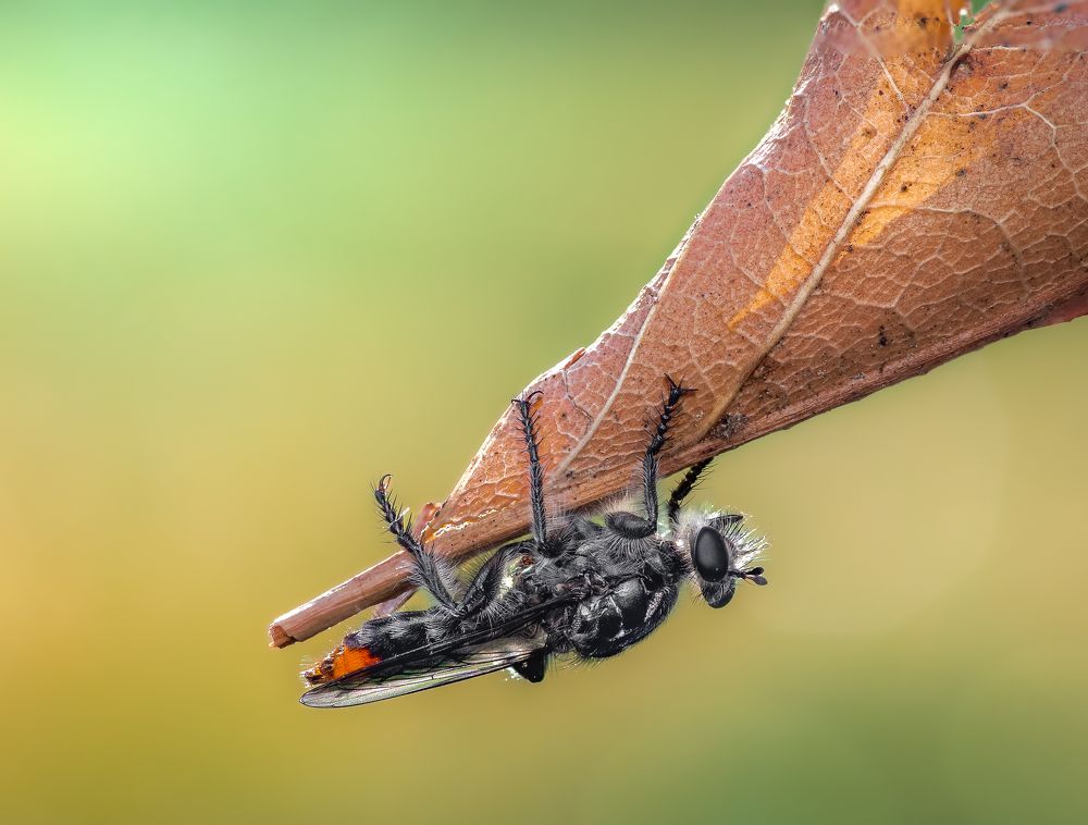 Photograph by Atul Saluja