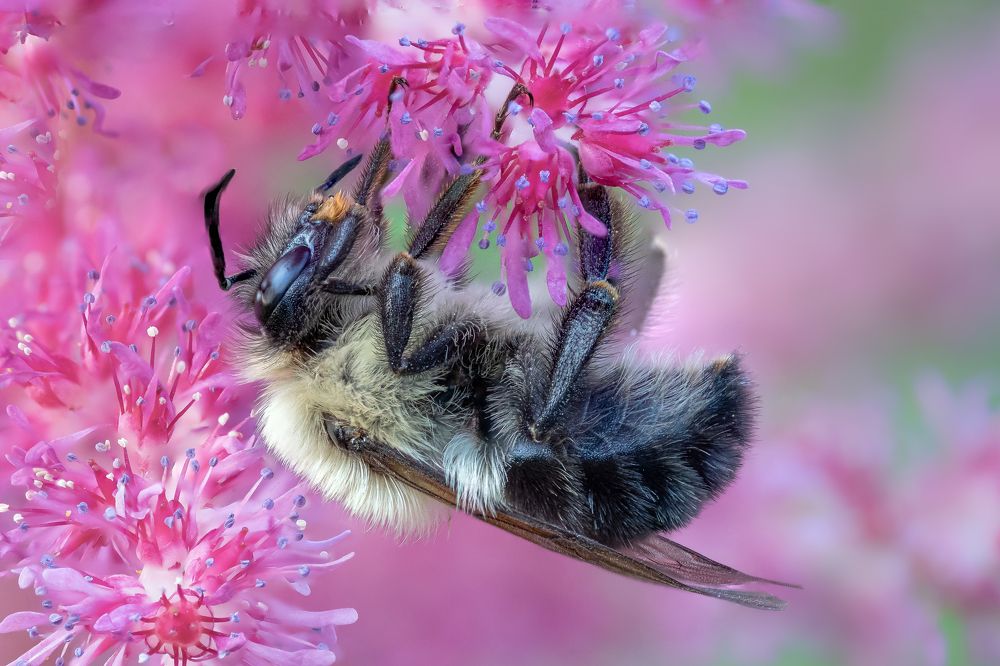 Photograph by Atul Saluja