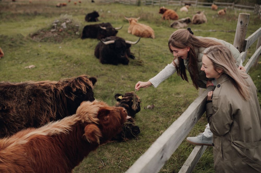 Photograph by Victoria Bereziner