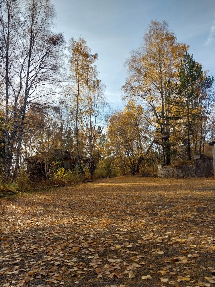 Photograph by Юлия Фирман