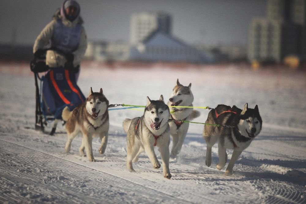 Photograph by Наталья Бондарева