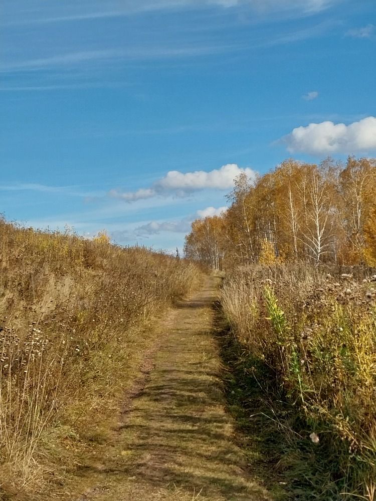 Photograph by Юлия Фирман