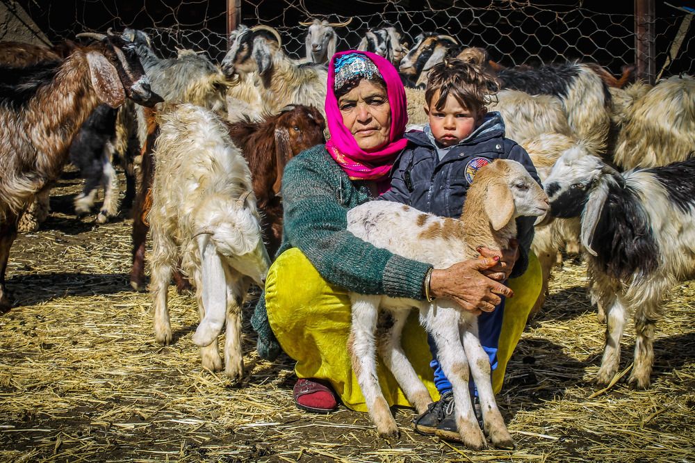 Фотография автора Khaled Zerfaoui