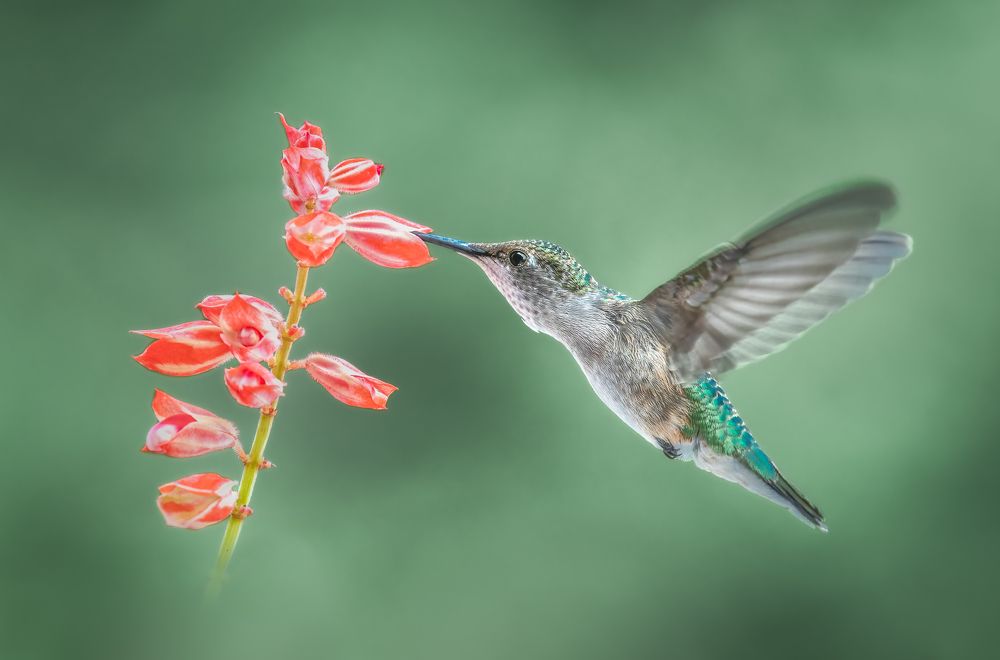 Photograph by Atul Saluja