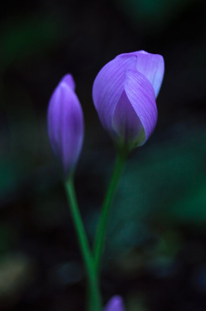 Photograph by Анастасия