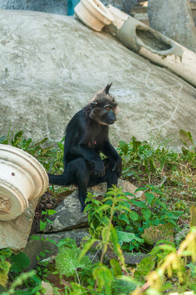 Photograph by Денис Кичев