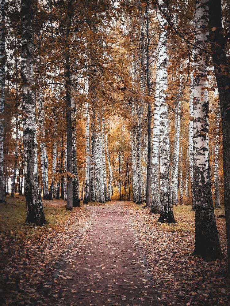 Photograph by Эрика Чечерина