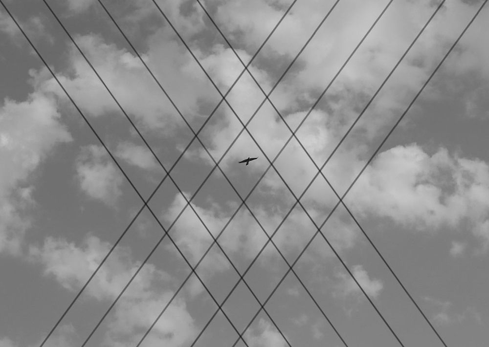 Photograph by Ulas Sonmez