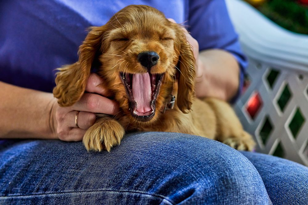 Photograph by Алексей Ольшевский