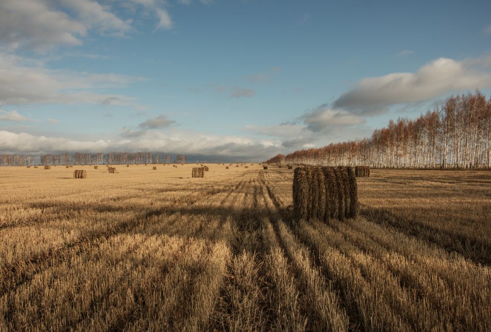 Photograph by Наталия Брянцева