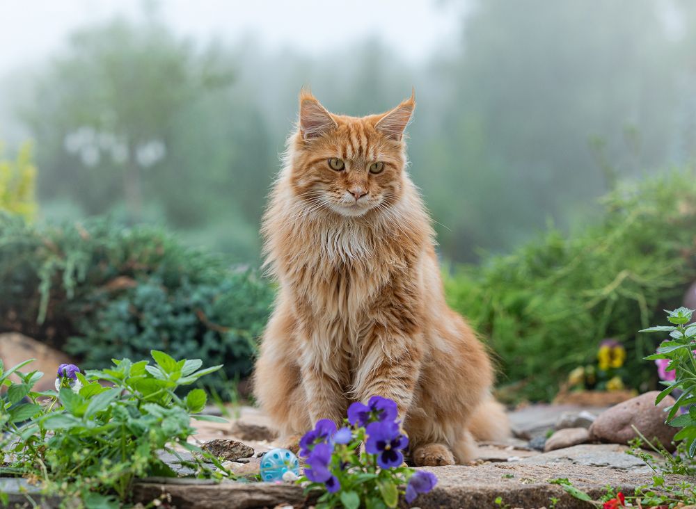 Photograph by NADEZHDA PELYMSKAIA