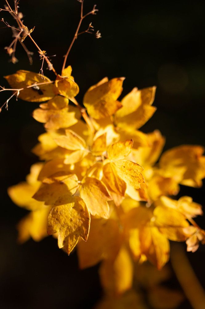 Photograph by Софья Зырянова