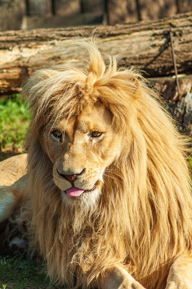 Photograph by Денис Кичев