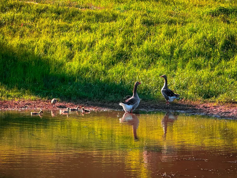 Photograph by Evgenia Privalova