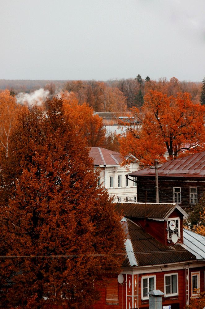 Photograph by Елена Сиднина