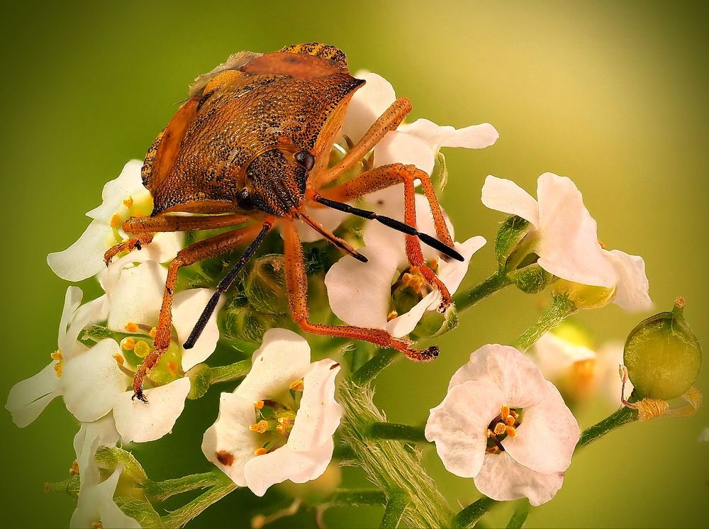 Photograph by Борис Риганов