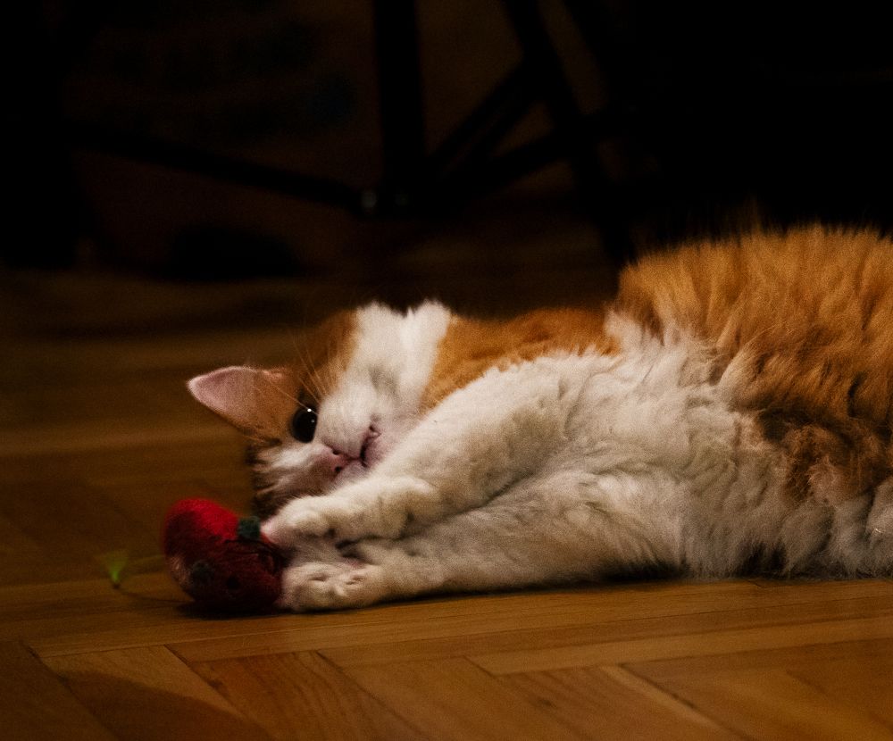 Photograph by Aleksandr Kolonsky