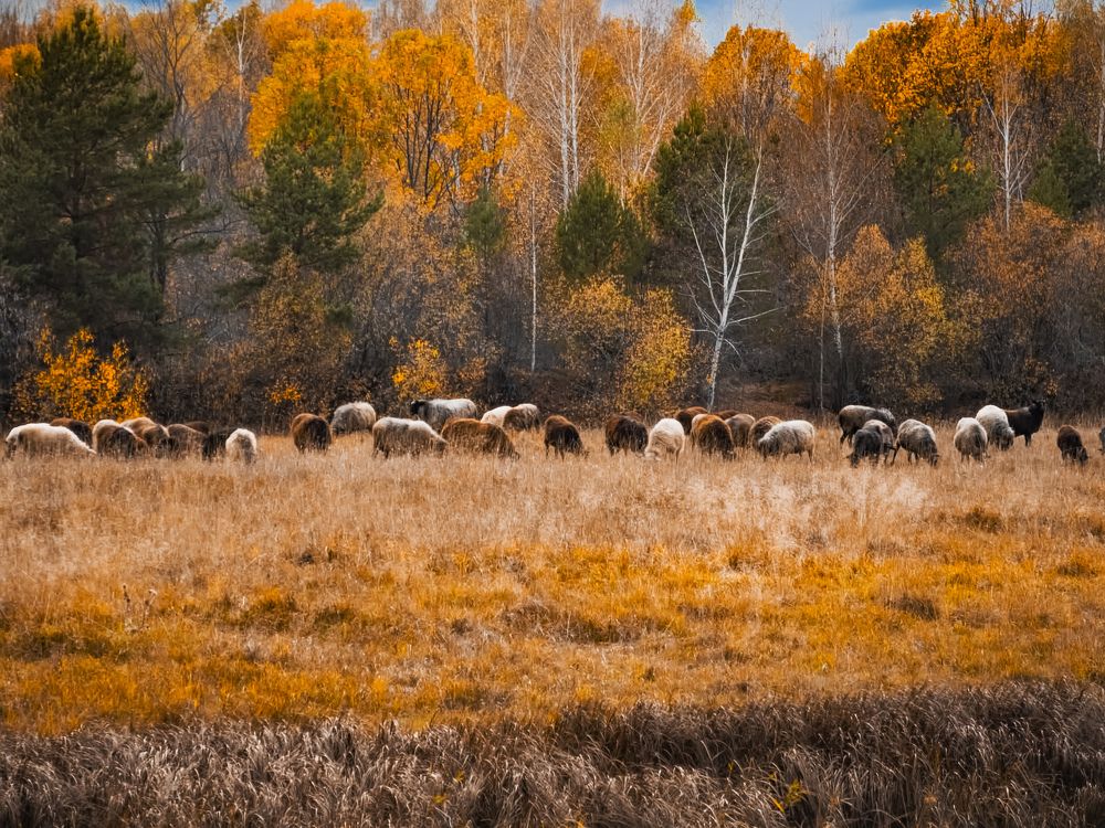 Photograph by Konstantin Martynov