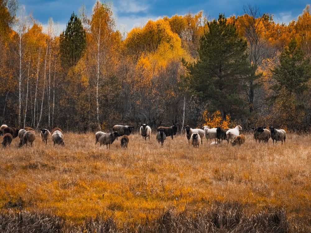 Photograph by Konstantin Martynov