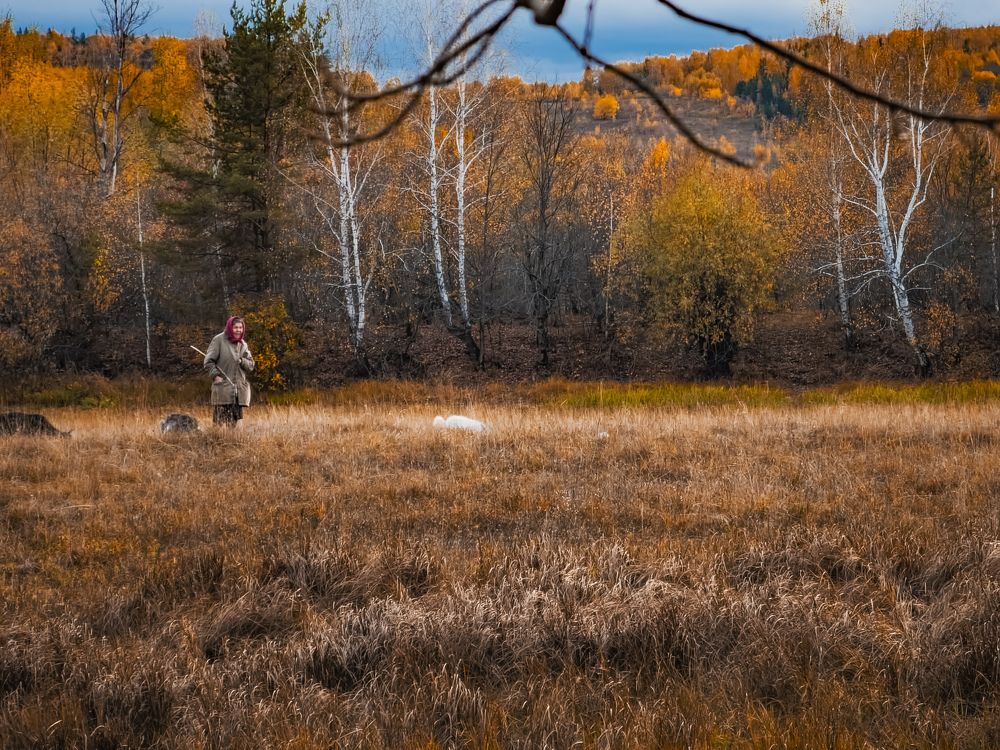 Photograph by Konstantin Martynov