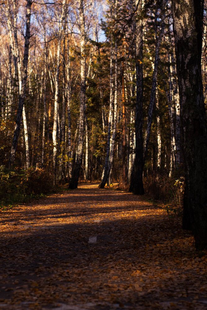 Photograph by Софья Зырянова