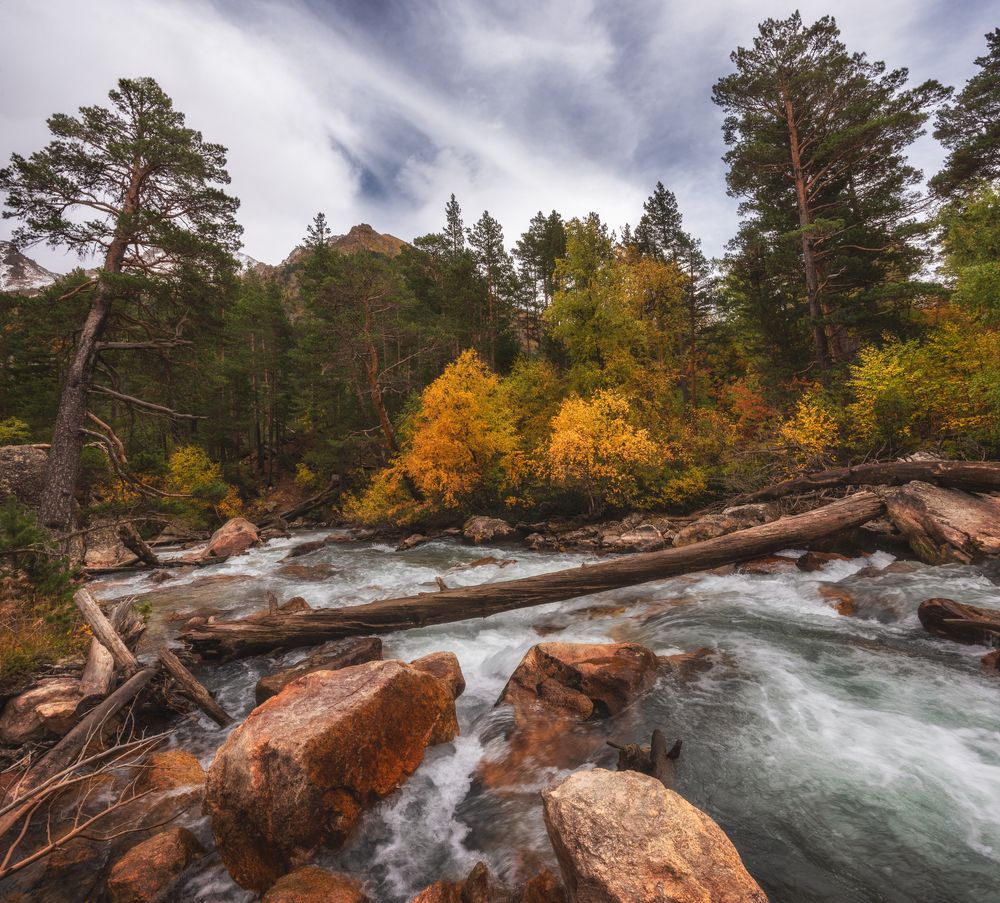 Photograph by Кахарова Наргиза