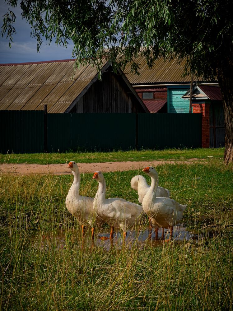 Photograph by Evgenia Privalova