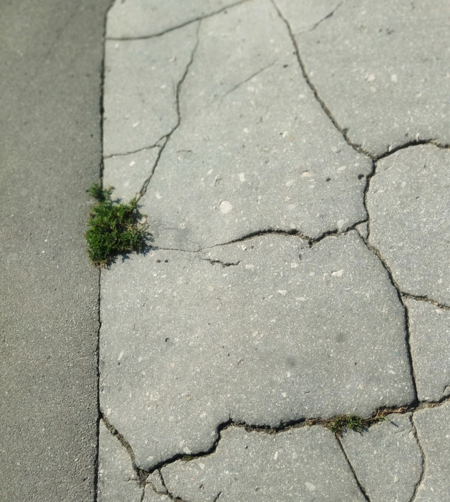 Photograph by Юлия Рытова