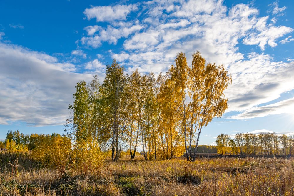 Photograph by NADEZHDA PELYMSKAIA