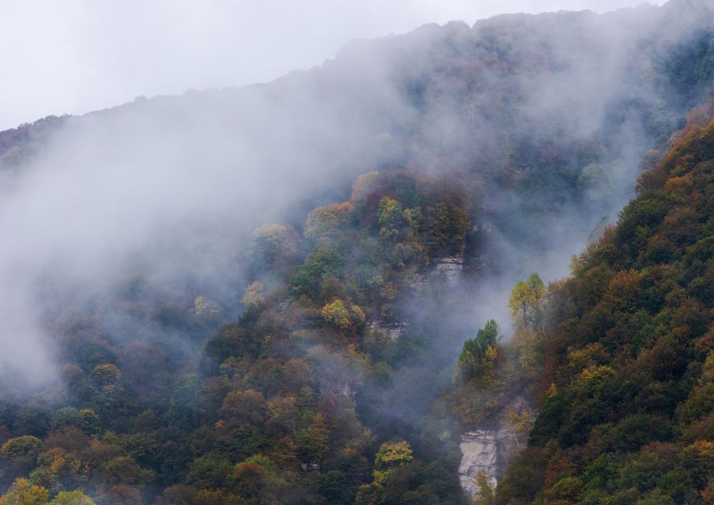 Photograph by Анна Бокова