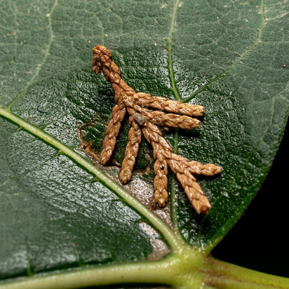 Photograph by Vahid Sabet