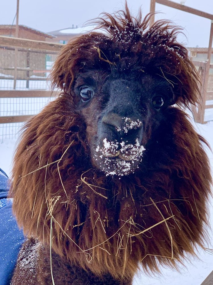 Знакомьтесь, это Лондон!