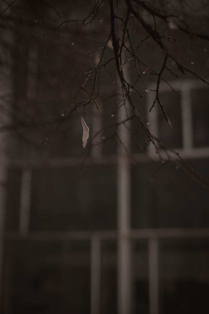 Фотография автора Мария Щеголькова