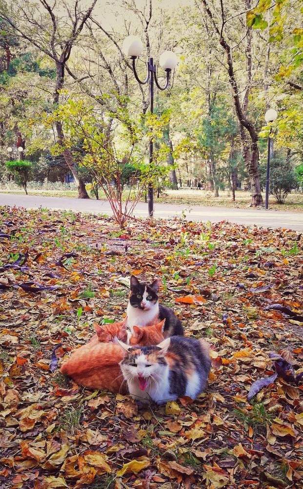 Photograph by Марина Жарикова