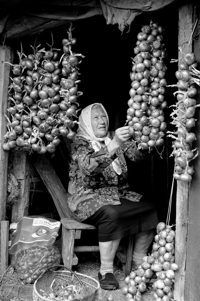 Photograph by Николай Протасеня