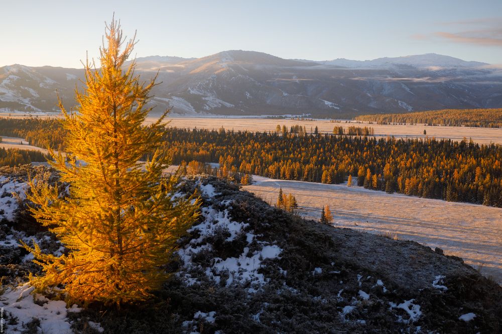 Photograph by Мария Казакова