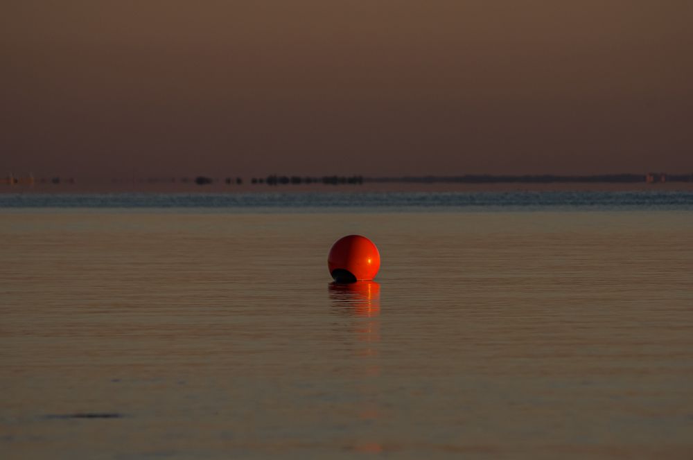 Photograph by Елена