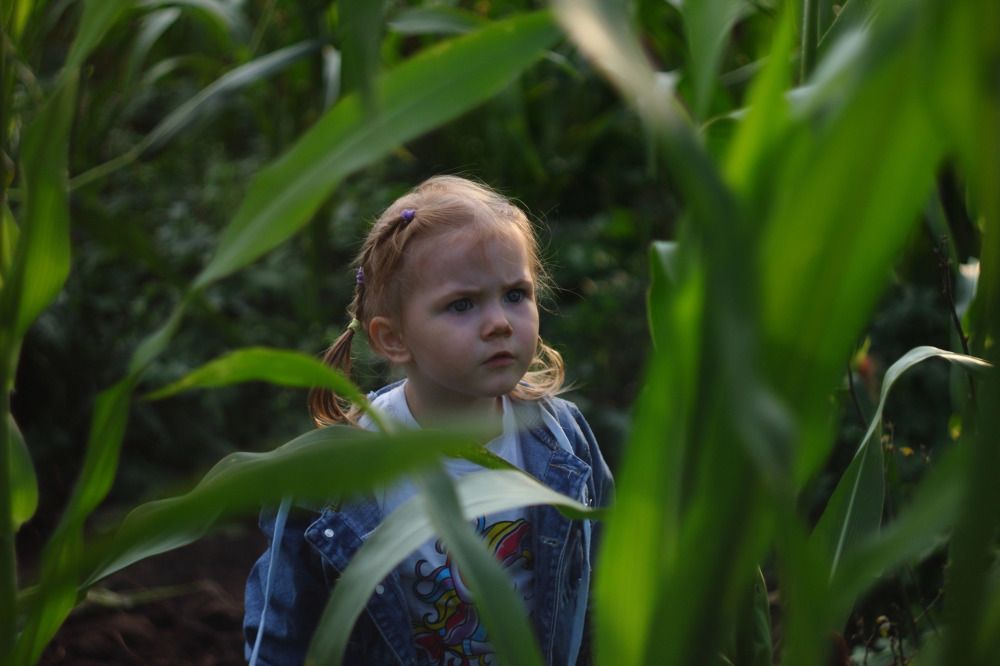 Photograph by Елена