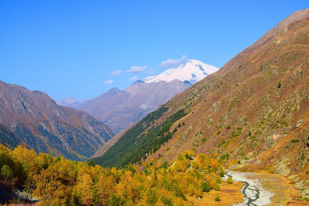 Photograph by Margo Margo