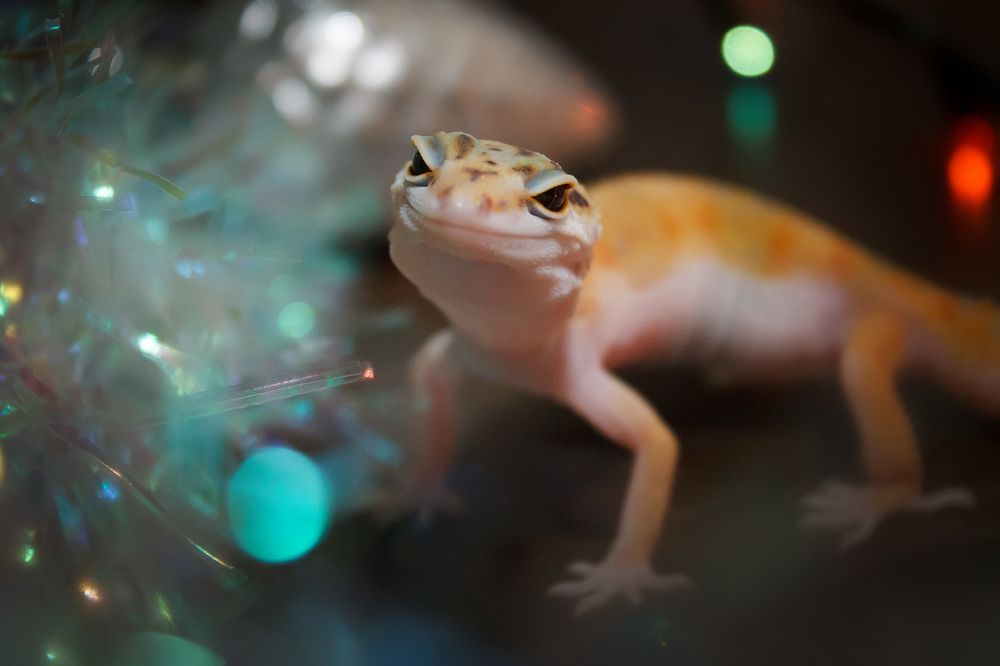 Photograph by Ольга Сельницына