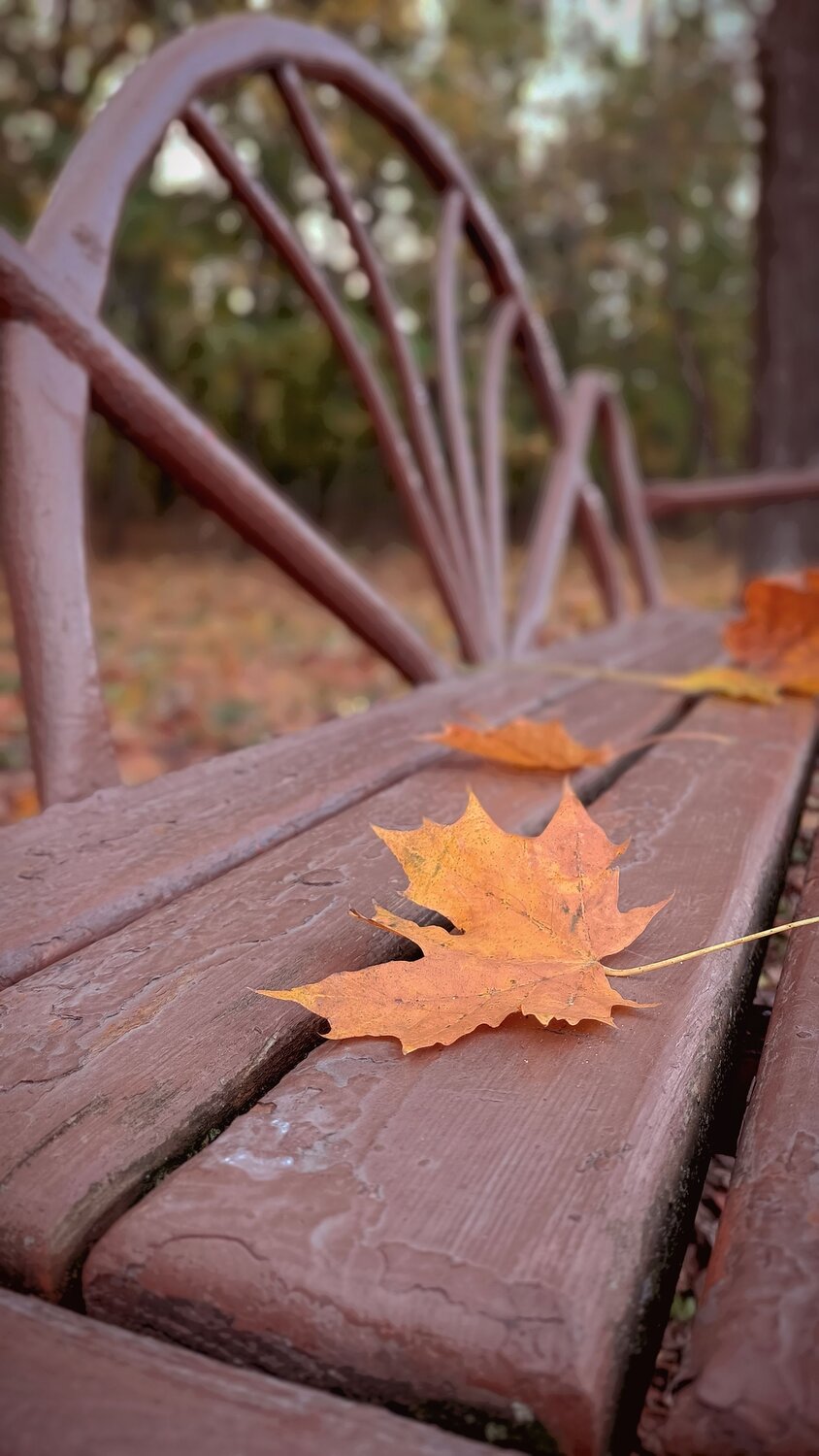 Photo #9670388