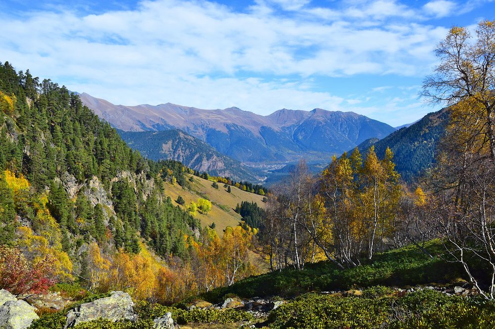 Photograph by Margo Margo