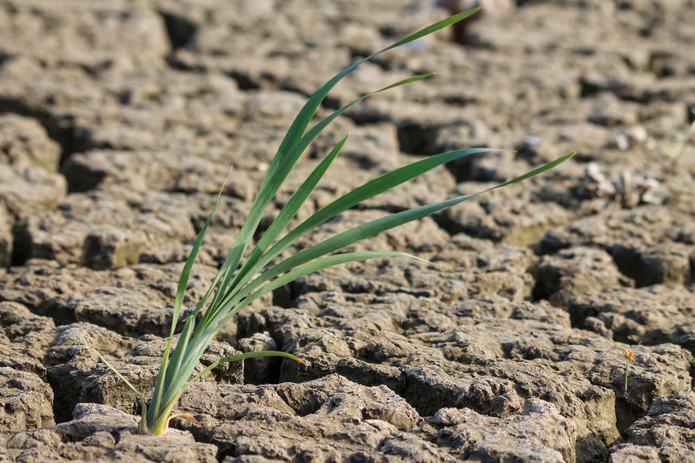 Photograph by Ольга Сельницына