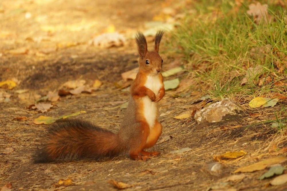 Photograph by Алфия Бугакова